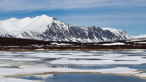 Alaskas toodi hukkunud Läti alpinistide surnukehad Denali mäelt alla