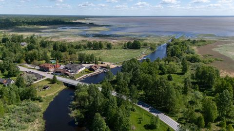Keset eikuskit sünnib tõmbekeskus koos sadama, restorani, kontserdipaiga ja teatrisaaliga