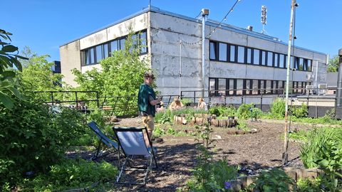PIILU SISSE ⟩ Kopli tehasehoovide kohal varjab end salajane oaas – ja see on kõigile avatud