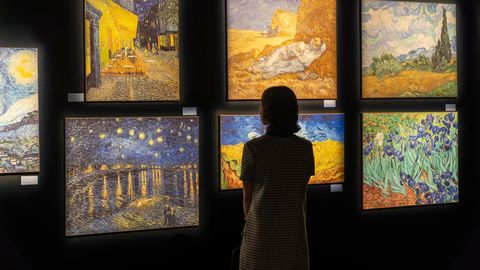 Tallinnasse jõuab rahvusvaheline elamusnäitus Van Gogh'i loomingust