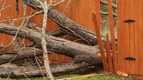 Mida teha, kui torm on tulekul? 6 soovitust, kuidas oma kodu kõige paremini kaitsta