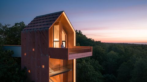 GALERII ⟩ Harku valda kerkis linnupesa