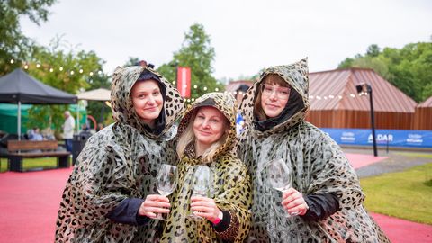 GALERII ⟩ Tantsu ja mulli! Vaata, kes osalesid meeleolukal Mulliga & Mullita festivalil Maarjamäe lossihoovis