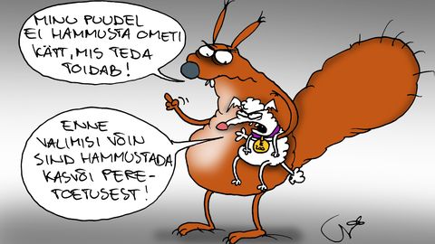JUHTKIRI ⟩ Peretoetuste tüliõun