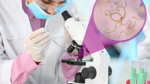 TERVIS TULEB USSIDEGA? ⟩ Geneetiliselt muundatud parasiidid suudavad elusorganismis toota ja vabastada ravimeid