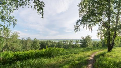 PÄEVAHOROSKOOP ⟩ 22. juuni: Kaljukitse patnerlussuhted õitsevad, Skorpioni vaateväli avardub