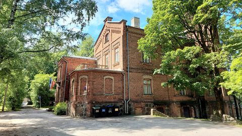 Oettingenide pere kolme venna erakordne tegevus elustub värskes raamatus