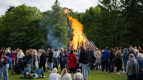 VIDEO ⟩ WC-kaos Tallinna jaanitulel: «Inimesed roojasid puude all!»