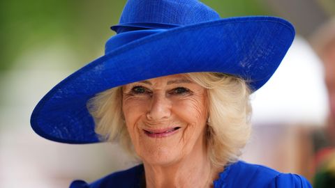 Camillal on Meghani ja Harry külaskäigu ajaks oma kindel tegevusplaan