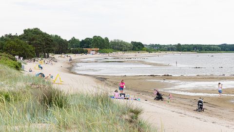 Lähipäevil tuleb kuni 24 kraadi sooja, sajab hoovihma