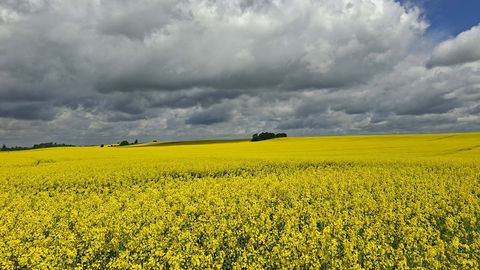 Eesti looduse taastamise kinnimaksja jääb saladuseks