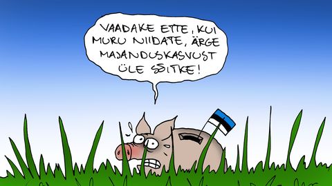 JUHTKIRI ⟩ Ettevõtlik vaim vabaks
