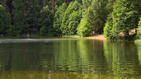 Viitna Pikkjärves ujumist soovitatakse vältida