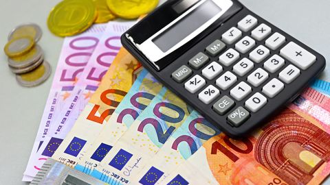 SIGNE VIIMSALU ⟩ Ettevõtluskeskkond on katki. Kulu maksumaksjale ulatub sadadesse miljonitesse eurodesse aastas