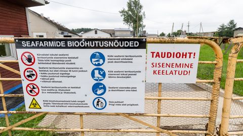 Farmid on sigade katkuks valmistunud hoolsamini kui kunagi varem