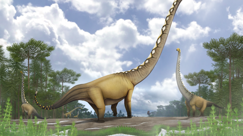 Leiti enneolematult pika kaelaga dinosauruse kivistis – sellega on seotud üsna ootamatu lugu