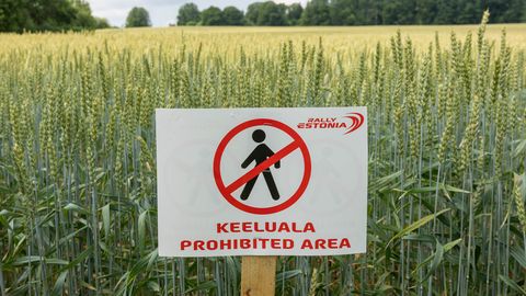 Rally Estonia eel tuletatakse publikule meelde: hea vaatekoht ei tähenda ohutut kohta