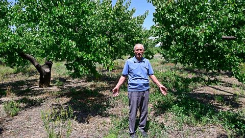 Tüli Moskvaga tegi Armeenia aprikoosikasvatajatest etturid geopoliitilises mängus
