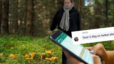 Väsimatu saripettur tegutseb uuel alal! «Kandsin raha kukeseente eest ära, järgmisel päeval pani bloki peale!»