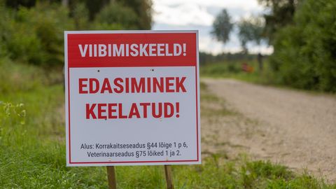 Eestis on tuvastatud 99 seakatkujuhtumit
