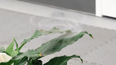 VAATA VIDEOT ⟩ See droon muutub nähtamatuks otse te silme all