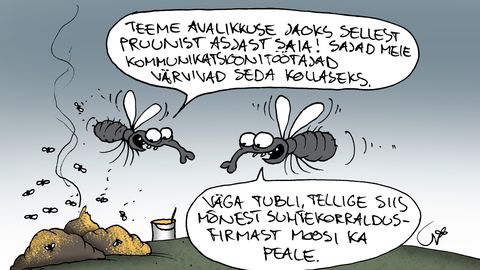JUHTKIRI ⟩ Ajupesu meie raha eest