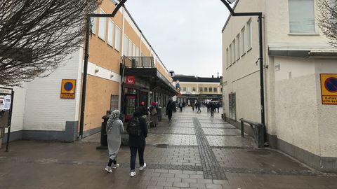 Kriitikute arvates süvendab Rootsis jõustunud «pealekaebamisseadus» variühiskonda