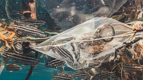 VAATA KAARTI: ⟩ Nutikaameratega püüti ookeani plastprügi kinni ja pandi kaardi peale – tulemus teeb kurvaks
