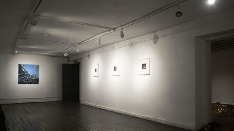 FOTOREPORTAAŽ ⟩ «Jätkusidemed» Pallase galeriis