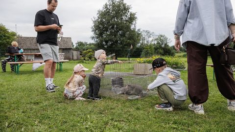 Vaata, mis olid avatud talude päeva popimad talud