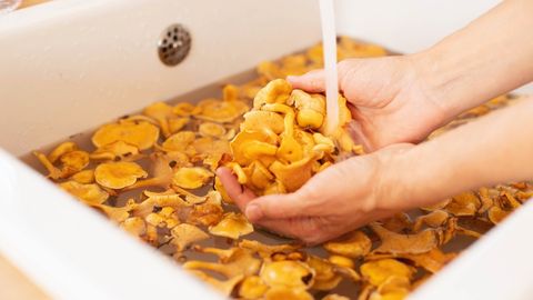 Toidublogija nipp, kuidas suur kogus kukeseeni kiiresti puhtaks pesta
