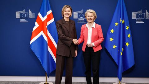 POLITICO ⟩ Islandi opositsioonijuht Euroopale: ärge sekkuge meie referendumisse