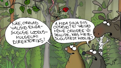 JUHTKIRI ⟩ Võitlus leivakannika pärast