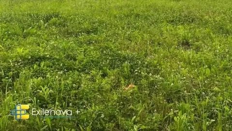 Ukraina ründas Rjazanis asuvat naftatehast ja Wildberriese ladu