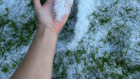 FOTOD ⟩ Lääne-Virumaal kattus maa keset suve paksu rahekihiga