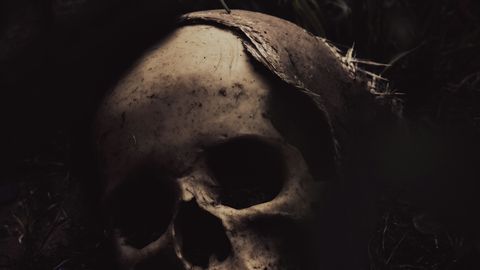 Iidsete inimeste kannibalismi kohta selgus midagi ootamatut
