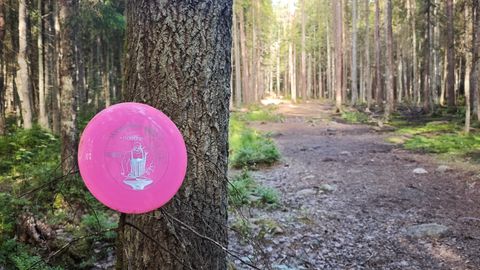 Seal, kus kettagolf päriselt toimub: nädalamängude fenomen