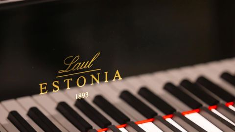 Endised kolleegid Estonia klaverivabrikust presidendiks pürgivat Indrek Laulu hea sõnaga ei meenuta: oleks kurb, kui selline inimene saab presidendiks!