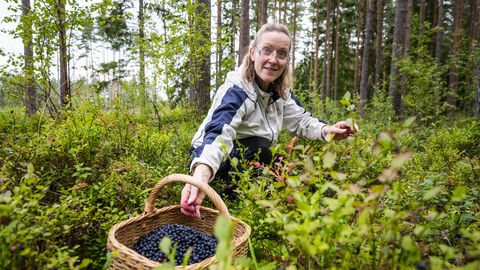 SÕIDA SEENELE! ⟩ Ükski õige korilane oma salajast saagikohta ei reeda