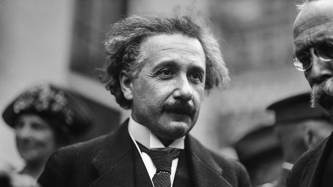 SÖÖ NAGU GEENIUS ⟩ Albert Einsteini suur lemmik oli seen, mida leidub ka meie metsades