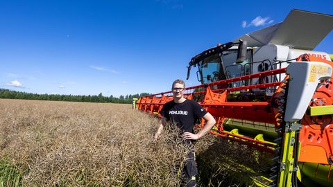 Tänavu on viljakoristusega hilja peale jäädud