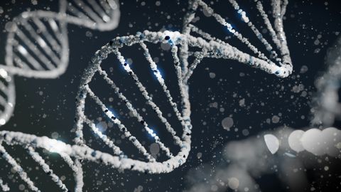 VAATA VIDEOT ⟩ DNA on enamat kui kaksikheeliks – need uued avastatud struktuurid võivad määrata rohkem kui seni arvatud