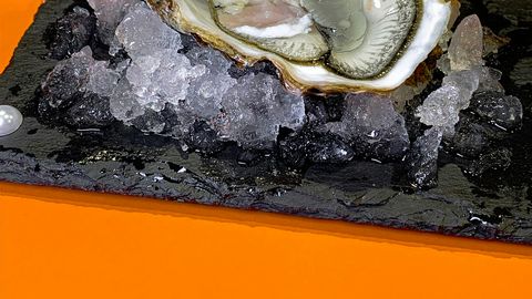 Pärlid – meile kalliskivid aga molluski jaoks mälestus tohtust traumast