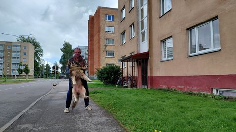 HÄIRIV PILT ⟩ Hiinalinna kortermaja trepikoda lainetas hommikul verest