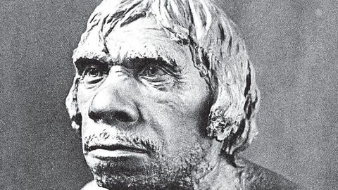 Äsja leitud neandertallaste DNA paljastab üllatavat selle kohta, miks neid enam meiega ei ole