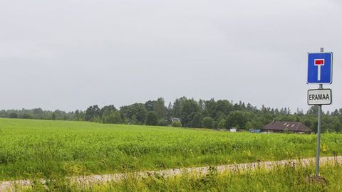 Talupidajad on pahased. «Sööge põlluservast palju kõhtu mahub, aga kui kotiga korjama tulete, on see vargus!»