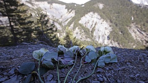 TÄNA AJALOOS ⟩ Vaimsete probleemidega lennukipiloot tappis 150 inimest