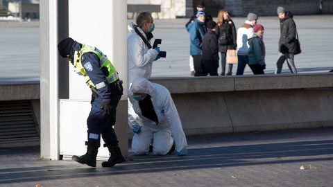 ÜLEVAADE ⟩ Politseinikud on Eestis aastate jooksul lasknud maha mitu inimest